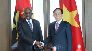 Vietnamese, Angolan Foreign Ministers hold talks in Ha Noi