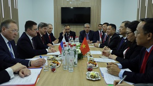 Viet Nam, Russia expand energy cooperation