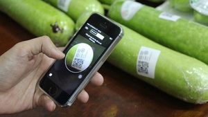 National traceability system launched to boost transparency of Vietnamese farm produce