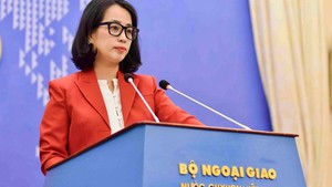 Viet Nam reiterates commitment to 1982 UNCLOS, peaceful settlement of maritime disputes