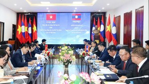 Finance minister leads Viet Nam–Laos Cooperation Committee