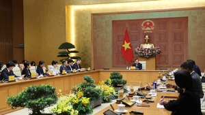 Standing Deputy PM hosts U.S. businesses