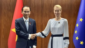 Foreign Minister meets EC Vice President in Manila