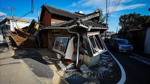 Viet Nam sends sympathy over earthquake in Japan