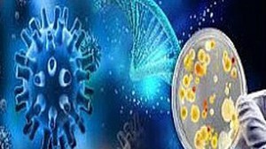 Gov’t approves biotechnology development plan in agriculture and environment