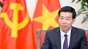 VN, New Zealand seek fresh momentum for Comprehensive Strategic Partnership