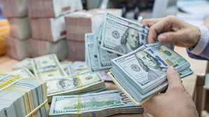 Foreign credit institutions allowed to conduct int’l payments via accounts in Viet Nam from September