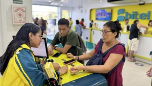 Which Vietnamese corporation earns billions of US$ in revenue from overseas markets each year?
