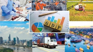 Resolution No.10 is significant evolution in Viet Nam’s investment strategy: HSBC