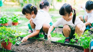 Gov’t adopts action program on environmental protection, climate resilience