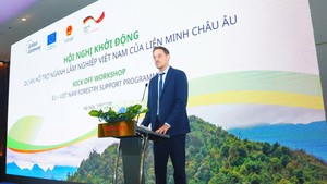 EU, Germany back Viet Nam's natural forest conservation