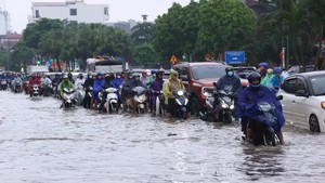 Flooding damages more than 10,000 ha of crops in northern, central localities