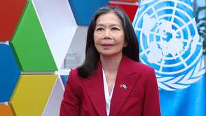 Viet Nam evolves from beneficiary to contributor in global cooperation: UN Resident Coordinator