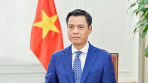Viet Nam affirms proactive, responsible role in global issues