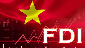 Gov’t issues action plan to develop FDI sector