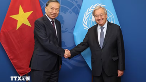 Top leader To Lam meets UN Secretary-General in New York