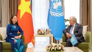 Vice State President meets with UN chief, CICA Secretary General, Togo leader