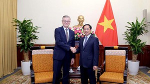 越南承诺继续为联合国维和行动做出积极贡献