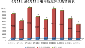 6月19日，越南新增新冠确诊病例533例