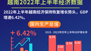 越南2022年上半年经济数据