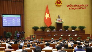 越南国会以赞成票87.25%通过身份证法