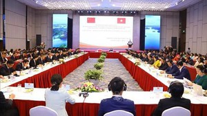 越南祖国阵线中央与中国全国政协暨边境省份组织履职经验交流研讨会在下龙湾举行