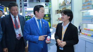 越南政府副总理陈红河参加第六届中国国际进口博览会（组图）