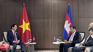 越南外交部长裴青山会晤柬埔寨，菲律宾，马来西亚三国外长
