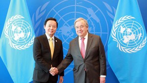 越南政府副总理陈红河会见荷兰国王和联合国秘书长