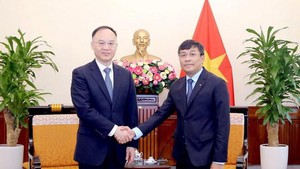 越南外交部常务副部长阮明宇同中国外交部部长助理农融举行会谈
