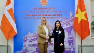 越南与丹麦第二次政治磋商在越南举行