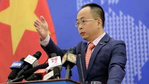 越南对联合国普遍定期审议报告非常失望