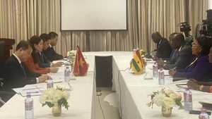 越南与加纳推动双边关系深入务实有效发展