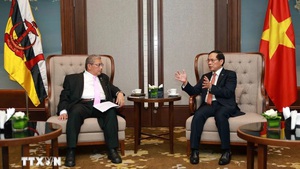 越南—文莱合作展开两国协议
