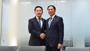 经济合作与发展组织部长级会议：越南外交部长裴青山同与会各国代表举行双边会晤