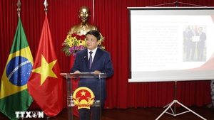 越南—巴西关系35周年：双方关系发展迈上新台阶的重要里程碑