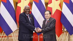 越南国会主席陈青敏同古巴全国人民政权代表大会主席拉索举行会谈