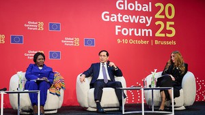 越南坚持多边主义，促进国际合作，遵守国际法和联合国宪章