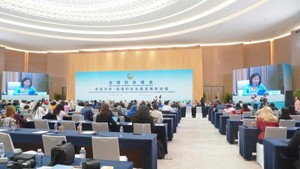 越南妇女联合会代表出席全球妇女峰会