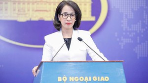 越南外交部发言人：有关各方要尊重越南对长沙群岛的主权