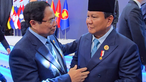 印尼总统：支持欧盟委员会解决对越南的IUU黄牌警告