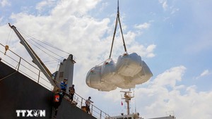 通过《越南与新加坡大米贸易合作备忘录》各项内容