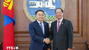 越共中央委员、国会副主席陈光方访问蒙古