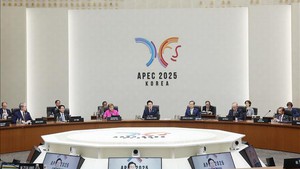 越南国家主席梁强在亚太经合组织第三十二次领导人非正式会议第一阶段会议上提出3点建议