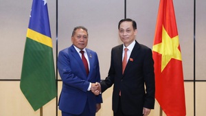 发展越南与所罗门友好合作关系