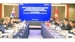 越南与韩国寻找措施 促进全面合作