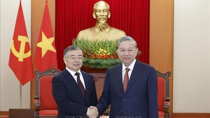 越共中央总书记苏林会见中共中央宣传部部长李书磊