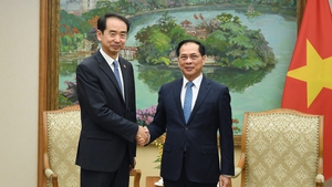 越南政府副总理裴青山会见中国驻越南大使何炜