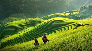 数字化与绿色化成越南旅游业可持续发展的两大支柱