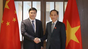 越南外交部长黎怀忠与中国广西壮族自治区政府主席韦韬举行会谈